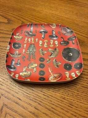 Terrain Anthropologie Mushroom Melamine 8" Square Plates Set of 4 Cottagecore⁠